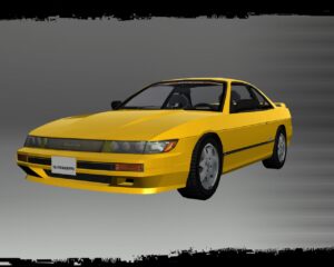 S13_show